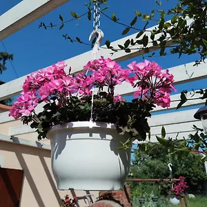  Apartman Anica